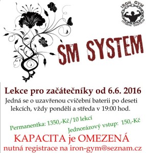 SM system
